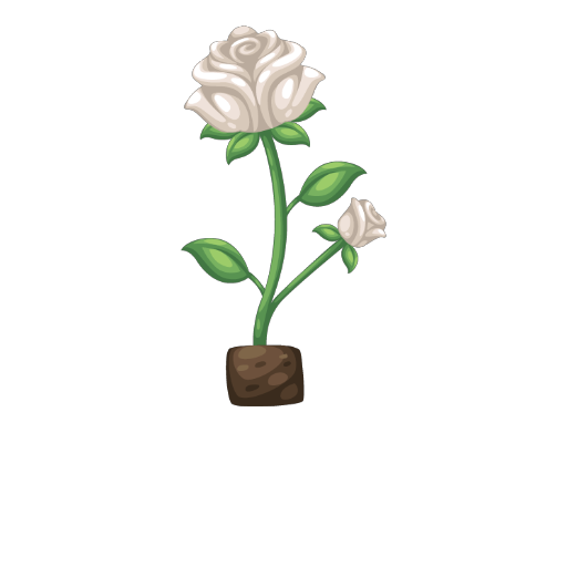 Valentine White Rose Flower