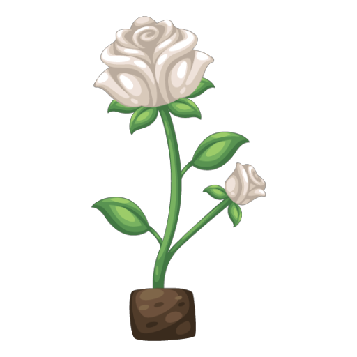 Valentine White Rose Flower Bonsai