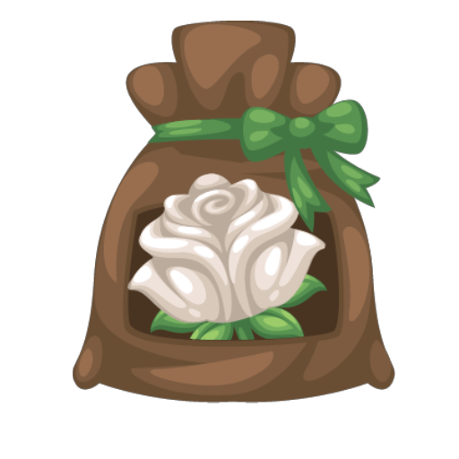 Valentine White Rose Seed