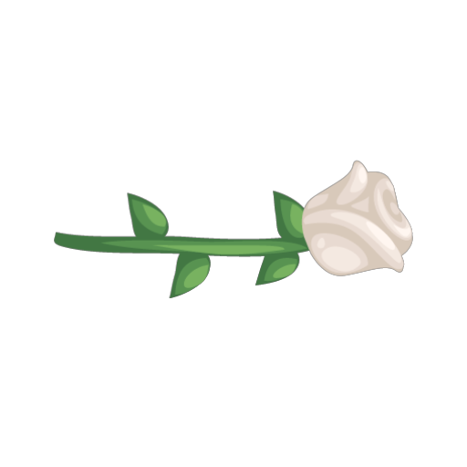 Valentines White Rose Decoration