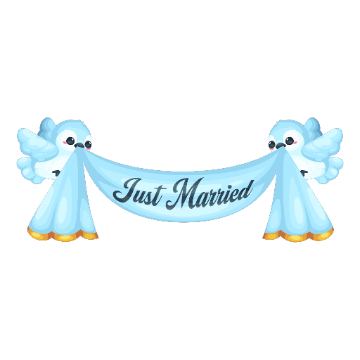 Wedding Elegant Blue Flying Banner