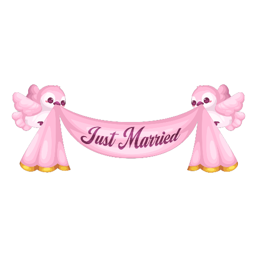 Wedding Elegant Pink Flying Banner