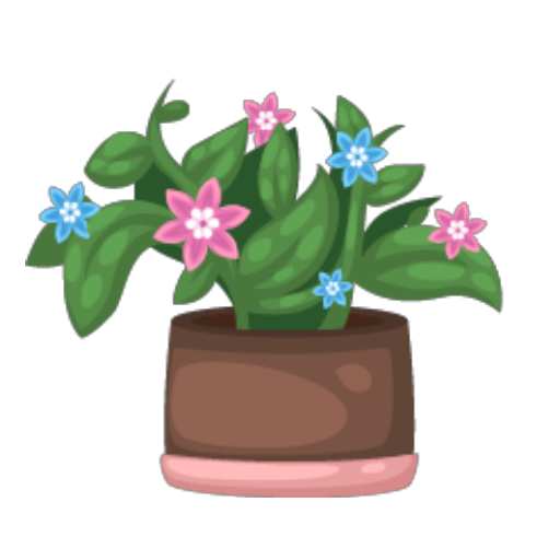 Welcome Pink Plant